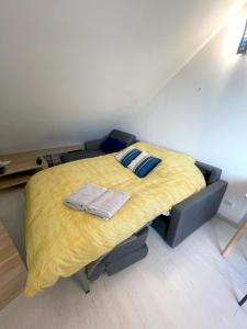 Loft renové avec Mezzanine - Vue sur le Loing - Commerces à pied