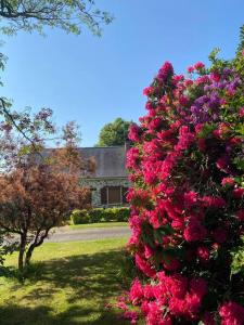 LOustal dé la Domaiséla