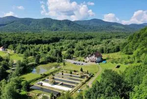 Valea Salbatica - Şinca Veche