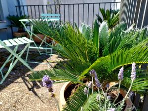 Le Chien Noir City Centre