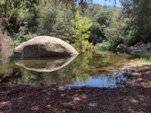 Turismo El Recodo, cabañas y camping