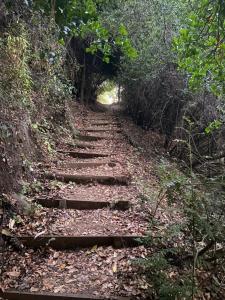 Turismo El Recodo, cabañas y camping