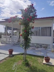 Villa Artzie. Έξοχικο με τεράστιο εξωτερικό χώρο.