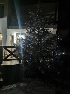 Pensiunea La Nenea Iancu