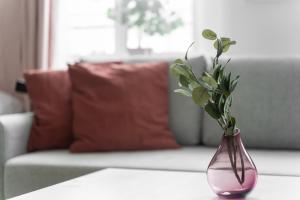 Kamienica Centrum Apartament nr 12