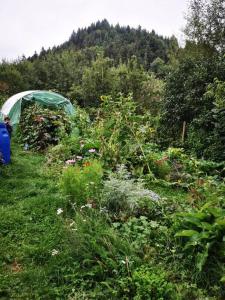 Chalets La Hulotte des Huches : photos des chambres