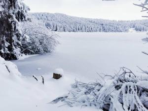 Chalets La Hulotte des Huches : photos des chambres