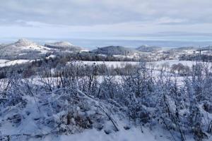 Chalets La Hulotte des Huches : photos des chambres