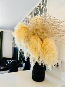 LE PRADO - Spacieux studio tout confort sur les hauteurs de Grasse