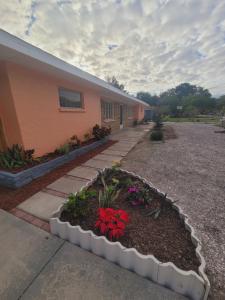 Newly renovated cozy and modern 2 bed. appartment