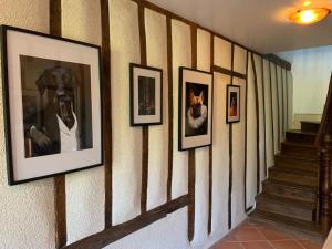 Maisons de vacances Lauberge de Nogaro : photos des chambres