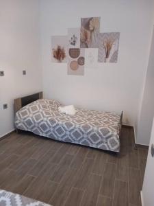 Dipotamata House SynetI