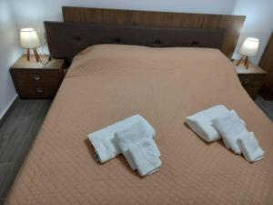 Dipotamata House SynetI