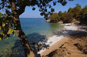 Albatross Mobile Homes on Valamar Camping Lanterna 
