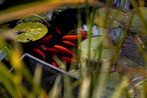 Apartmán v podzámčí