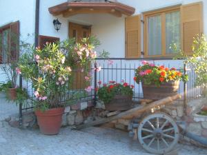 Agritur Widmann