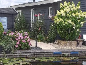 Canal-Side Stay, Giethoorn