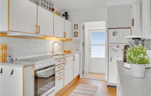 Pet Friendly Home In Rødby With Kitchen