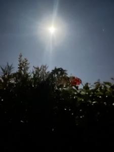 La casa de la Abuela