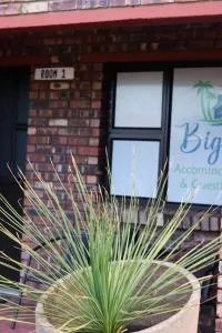 Big D Accommodation & guesthouse - Doornfontein