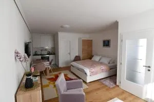 Studio Rio - Gradina