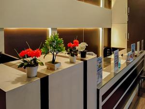 Akavi Homestay Jayapura Redpartner