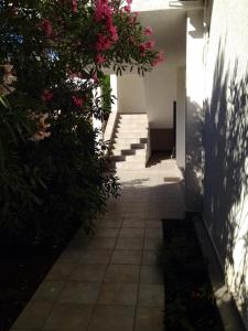 3 stern appartement Apartments Sugar Mandre Kroatien