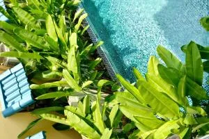 Aki’s Pool Villa An Bang Beach - Tân Thành (1)