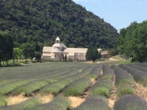 Maisons de vacances L'Oustau etoile : photos des chambres