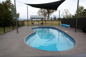 머지 Mudgee Vineyard Motor Inn 호텔 로비