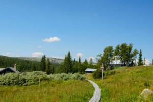 Björnrike Vemdalen. Mitt i backen