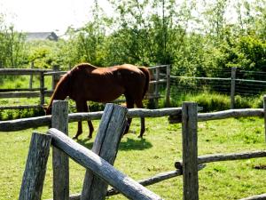 Campings Camping les 3 Sablieres : photos des chambres