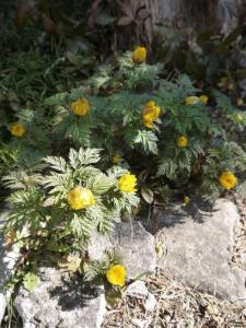 Nikko PRIVATE INN WA NODOKA