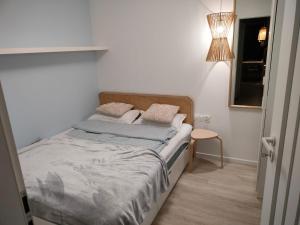 Bielsko City Center Apartment