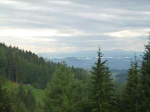 Almhütte - Schwaig