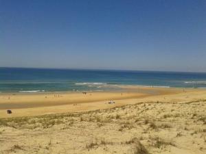 Appartements Appartement T2 avec Terrasse, Piscine, Parking et Accueil Chaleureux a Moliets - FR-1-379-144 : photos des chambres