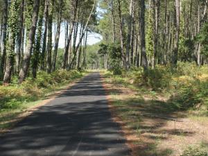 Appartements Appartement T2 avec Terrasse, Piscine, Parking et Accueil Chaleureux a Moliets - FR-1-379-144 : photos des chambres