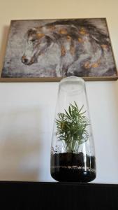 Appartements Arbre Blanc, une folie montpellieraine : photos des chambres