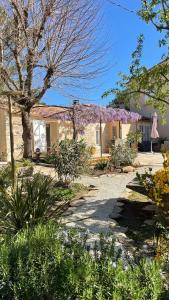 Maisons d'hotes Le mazet en ete - studio en garrigue nimoise : photos des chambres