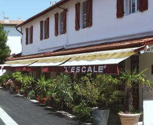 Lescale Surf Hostel - Auberge de jeunesse
