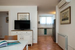 Sea Shell - Klodge img33