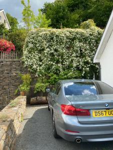 Snowdonia Snug - Studio Style Accommodation