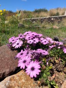 La casa blu superior