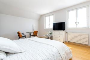 Maisons d'hotes Villa Cosy et Spa - Strasbourg : photos des chambres