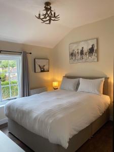 Double Room with Private Bathroom room in The New Forest Inn