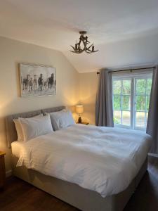 Superior King Room room in The New Forest Inn