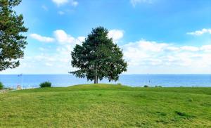 Ferienpark Sierksdorf App 12 - Strandlage