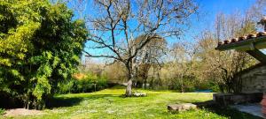 Appartements Entre Galets : photos des chambres