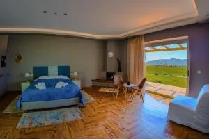 Atrium Vinea Brintziki Winery - 阿克皮萨