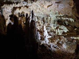 Appartements les gites d 'EVANE 